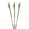 Gold Tip Warrior Arrows - With Vanes 1 Gold Tip Warrior Arrows - With Vanes -Sports - Archery 815416 1
