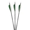 Gold Tip Warrior Arrows - With Feathers -Sports - Archery 815422 1
