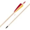 Buck Trail Standard Spruce Arrows -Sports - Archery 842090 2