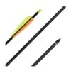 EK Archery Carbon Arrows 2 EK Archery Carbon Arrows -Sports - Archery EKA004