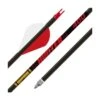 Gold Tip Hunter Arrows -Sports - Archery GOL014